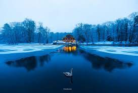 View all hotels near bois de la cambre on tripadvisor. Photo Story Magical Bois De La Cambre We Love Brussels