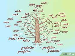Soyagaci Nasil Cizilir 10 Adim Resimlerle Wikihow