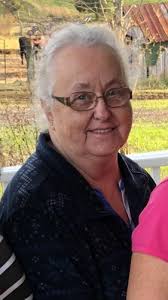 Sally Ann Laster Obituary (2022)