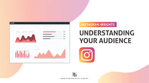The entire wiki with photo and video galleries for each article. P B Instagram Insights Understanding Your Audience