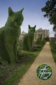 Avenue Of Topiary Cats Art Des Jardins Sculpture Jardin Jardin De Topiaires