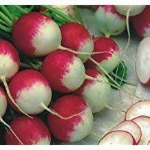 Radishes Are One Of The Easiest Things To Grow In Your Garden A Pack Of Seeds Are Full Grown In A Few Weeks Making Lovely Crimson Addi Radish Seeds Vegetables