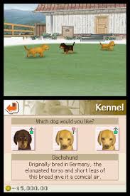 Sep 21, 2020 · nintendogs cheats, cheat codes & hints to gain free trainer points and money, hold the rubber brush on your dog and you will gain 1 dollar and a trainer point each minute. Amazon Com Nintendogs Dachshund Friends Artist Not Provided Video Games