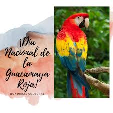 We did not find results for: Dia Del Ave Nacional De Honduras La Honduras Cultural Facebook