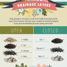 Pin By Jt On Succulents Closed Terrarium Plants Diy Succulent Terrarium Succulent Terrarium