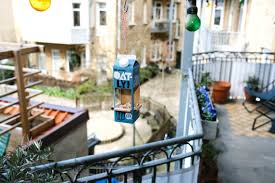 Your family gave you your principles. Oatly Department Of Distraction Services Oatly The Original Oat Drink Company