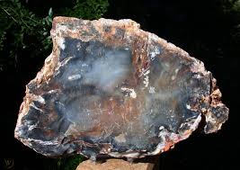 From the stop light in jackpot, nv drive south 29.1 miles. Sis Ultra Blue Translucent Hubbard Basin Petrified Wood Round 1833823023