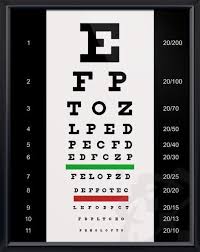 Snellen Eye Chart 20x26 Anatomy Drawings Playing Doctor