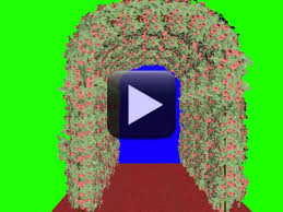 Twitch live streaming overlay facecam screen panel frame neon style 3. Beautiful Flowers Wedding Frame In Green Screen Effect All Design Creative