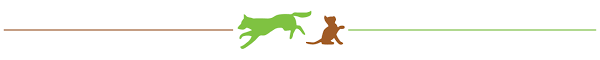 Maybe you would like to learn more about one of these? Home Zimmerman Veterinary Clinic