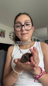 Jessy Hérisson Herisson