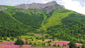 Hiking in banská bystrica surrounding offers more than 500 km of hiking paths, new paths of town forests, stay in nature just a few kilometers from town, round paths in forestparks. Tatry The Slovak Tatras Slovakia Nature Mountains Top Top View Rocks Landscape View Flowers Pikist