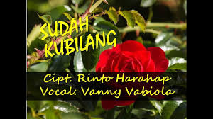 Lirik Lagu Sudah Kubilang Vanny Vabiola Cover Lirik Lagu Lagu Lirik