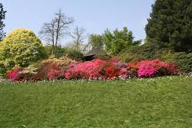 Como os pagamentos ao tripadvisor afetam a ordem dos está disponível um ginásio para os clientes nos seguintes hotéis perto de botanischer garten. Botanical Garden Rombergpark Dortmund 2020 All You Need To Know Before You Go With Photos Tripadvisor