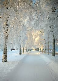 Paris Hotel Boutique Journal Inspiring Images White Winter Landscape Winter Scenes Beautiful World