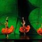 Momix Alice event image