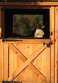 We did not find results for: Horse Stall Door Barn Stall Door Horizon Structures