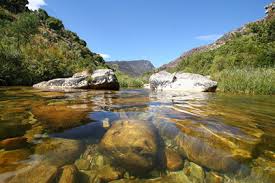 Have You Been To The Durbanville Nature Reserve Cape Town Tourism Nature Adventure Nature Reserve