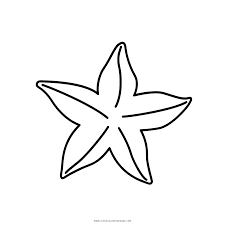 Strand malvorlagen lustige malvorlagen malvorlagen tiere seidenmalerei seestern mandala malvorlagen zentangle muster kritzeleien wenn du mal buch coloring pages for toddlers browse the seestern und muscheln ausmalbilder kostenlos zum ausdrucken. Seestern Malvorlage Coloring And Malvorlagan