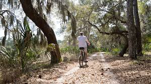The island features a historic district and an interesting diversity of biosphere including wetlands, mudflats, tide pools, and marshlands. Biking On St Simons And Jekyll Islands Road Scholar