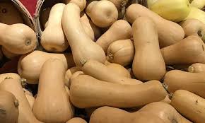 Then, selectively prune off vines that are not growing fruit, redirecting the plant's energy. Growing Butternut Squash For Fall Flavor Epic Gardening