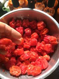 Carolina Reaper Sauce Getting Prepared Today Jeepers Reapers Revenge Is On The Way Again Hot Sauce Recipes Stuffed Hot Peppers Stuffed Peppers