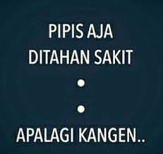 1.11 gambar kata kata bijak bahasa jawa. 87 Gambar Gambar Lucu Kangen Gambar Pixabay