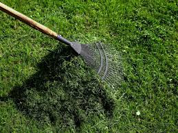 Dethatching is the easy option because it is accomplished simply by using a rake. Dethatching Lawns The What Why How And When