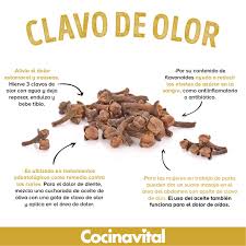 Cocina - El clavo de olor tiene propiedades que ayudan a mejorar nuestra  salud, por eos te invitamos a conocer algunos beneficios que ofrece esta  rica especia. 👉 https://bit.ly/2HUlJXw | Facebook