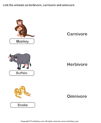Many omnivores change their eating habits during their life cycle. List Of Carnivores Herbivores And Omnivores Worksheet Turtle Diary