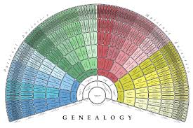 genealogy charts treeseek com