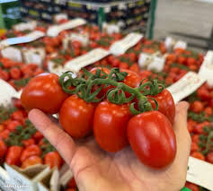 Image result for tomato Piccadilly