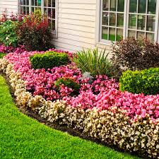 This indoor garden design uses beautiful and versatile species of epipremnum. 15 Garden Edging Ideas To Make Your Garden Pop
