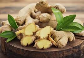 We did not find results for: Berikut 5 Bahan Alami Yang Ampuh Turunkan Berat Badan Mau Coba