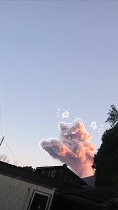 Kitty In The Sky Cute Background Pictures Pretty Wallpapers Aesthetic Wallpapers