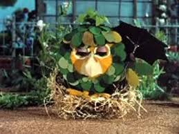 Sage The Owl Herbs Herb Garden Plants