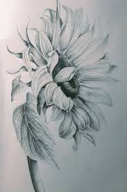 Pin By Carla P On Designs Stencils Templates Ideas Sunflower Drawing Realistic Flower Drawing Pencil Drawings Of Flowers Found 2 free sunflower drawing tutorials which can be drawn using pencil, market, photoshop, illustrator just follow step by step directions.