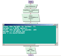 Visual Logic Body Mass Index Program