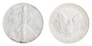 Image result for Arctic Silver 2004 1 Series