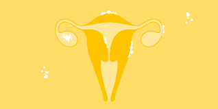 Endometriosis affects an estimated 176 million women worldwide regardless of their ethnic and common locations of endometriosis. Endometriosis Symptoms Diagnosis And Treatment