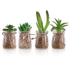 Le piante finte da interno sono spesso in tessuto, quelle da esterno di solito in plastica e in altri materiali che meglio resistono alle intemperie. Pin Su Giardinaggio