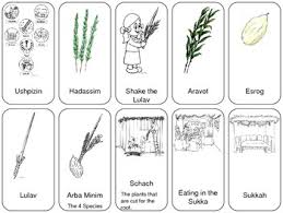 Maybe you would like to learn more about one of these? Sukkot Fun Worksheets Teaching Resources Teachers Pay Teachers