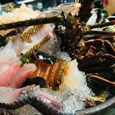 種子島観光協会