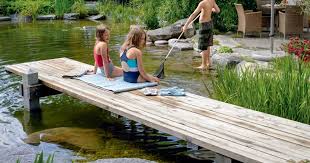 Badespass Im Schwimmteich Schwimmteich Teich Schwimmen