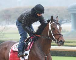 The 2021 kentucky derby is here and the fans, who can this time watch on site, are excited. 2021 Kentucky Derby Preps Rebel Stakes Horse Racing News