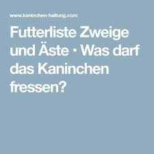 Futterliste Zweige Und Aste Was Darf Das Kaninchen Fressen Kaninchen Kaninchen Ernahrung Zwergkaninchen Futter