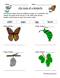 Life Cycle Of A Butterfly Worksheet In 2020 Life Cycles Science Life Cycles Science Worksheets
