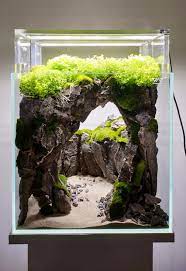 Our arizona family would like to personally thank you for visiting our site. Cave Aquarium Inside 30x30x30cm Fish Tank Terrarium Aquarium Garden Fish Aquarium Decorations
