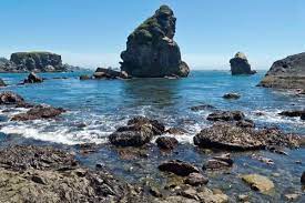 Zillow has 122 homes for sale in brookings or. Coastal Wonders Between Gold Beach And Brookings Travel Oregon
