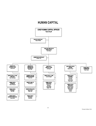 organizational chart tulsa public schools free download